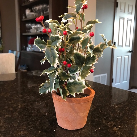 New Pottery Barn Faux Potted Holly, Holiday Plant - Picture 5 of 13